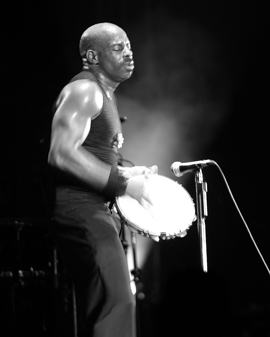  Ron Powell pendant un concert 