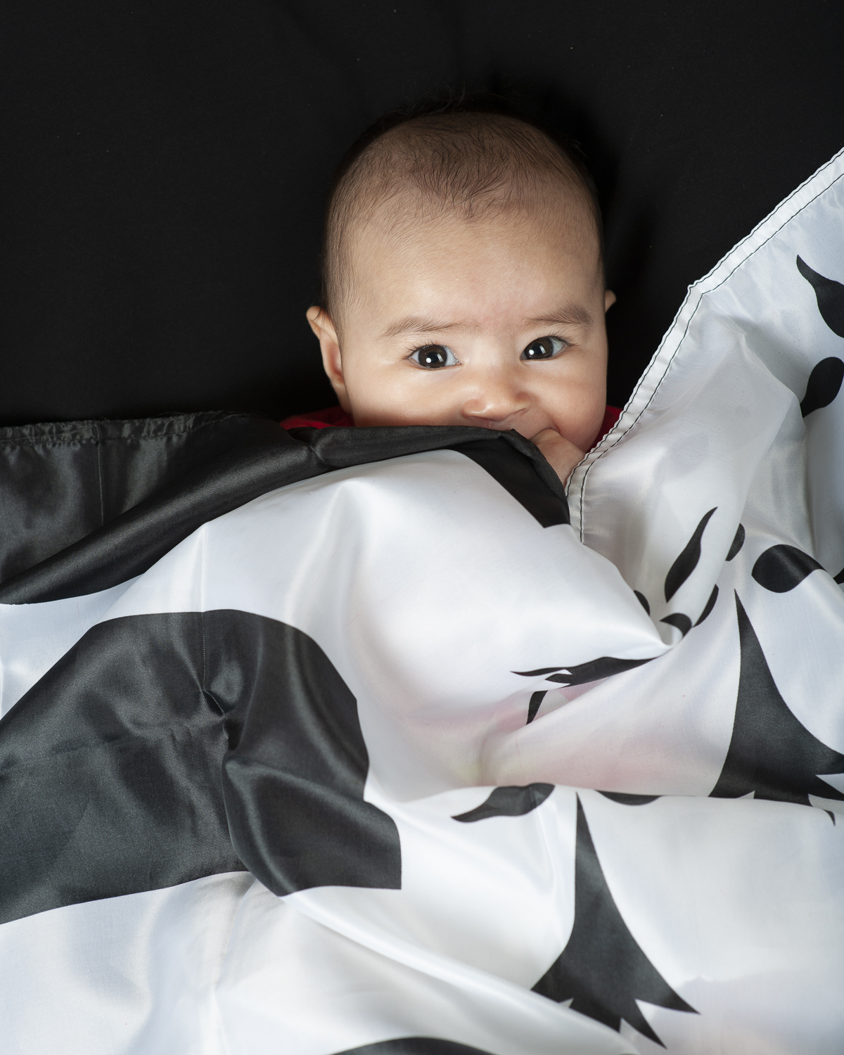  Portrait studio famille nouveau-ne guingamp 