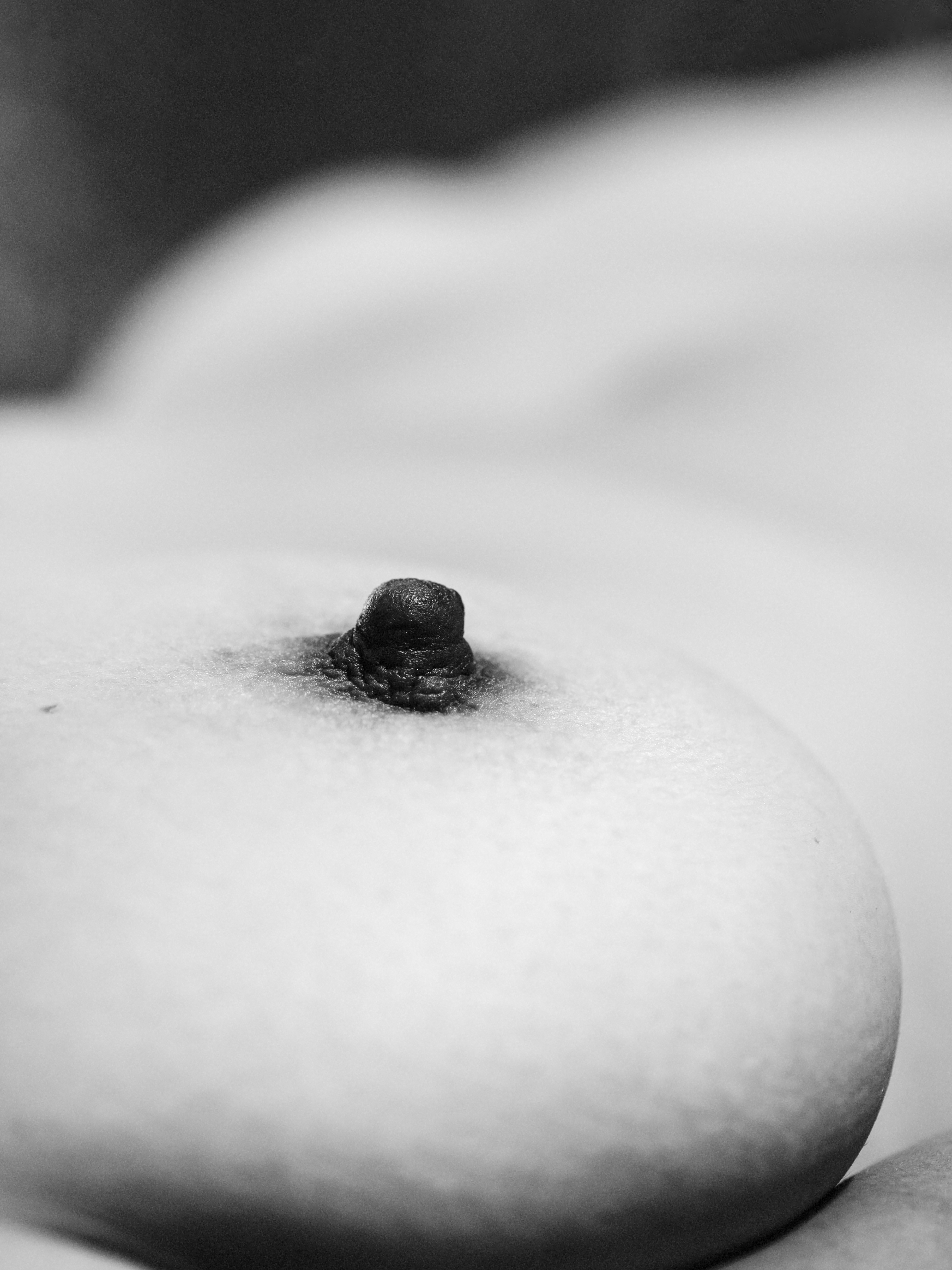  Nude Art 
